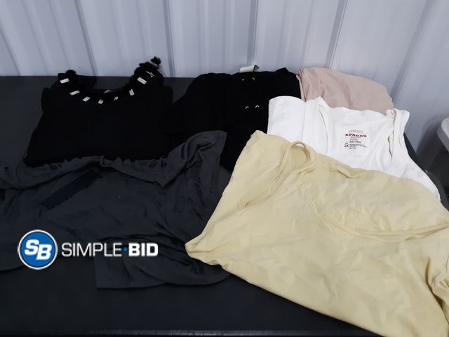 Lot 58-77787 - CLOTHING! Lot of Women's Dressy Shirts and more - variety of styles (Sizes mostly 1xl/2xl - in good ...