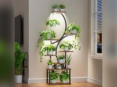 Lot 58-35316 - undefined