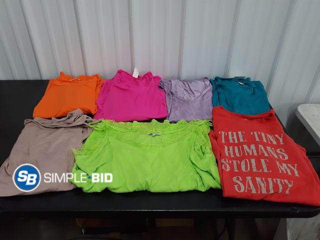 Lot 58-77680 - CLOTHING! Lot of Women's Dressy Shirts and more - variety of styles (Sizes mostly 1xl/2xl - in good ...
