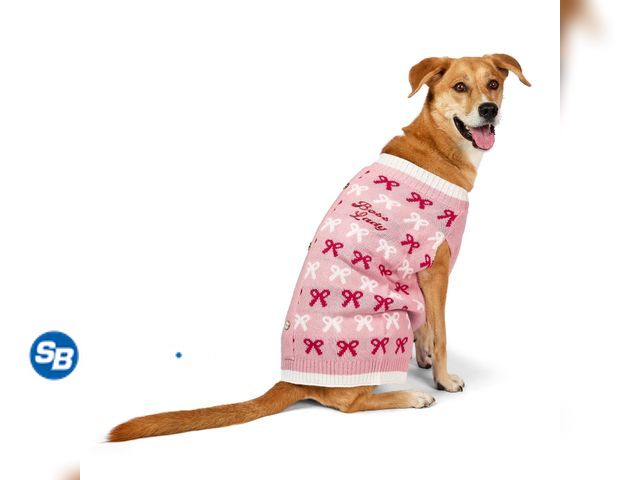 Lot 58-60755 - New Vibrant Life Holiday Pet Sweater for Dogs, Boss Lady Bows, Pink, Large