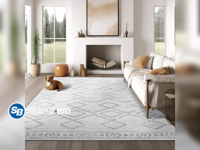 Lot 58-31090 - New jinchan Moroccan 4x6 Area Rugs for Living Room - Machine Washable Soft Modern Geometric Stain Re...