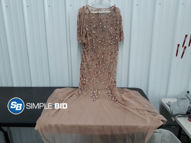 Lot 58-77828 - New Women's Adrianna Papell Mother's of the Bride Dress - SIZE 20w