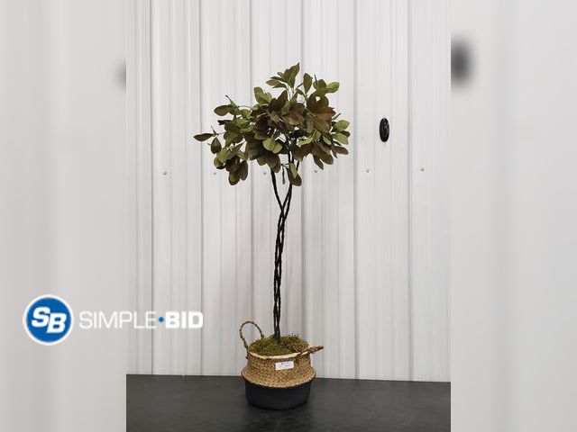 Lot 58-75825 - 4' Tall Artificial Guava Plant/Tree with Decor Basket