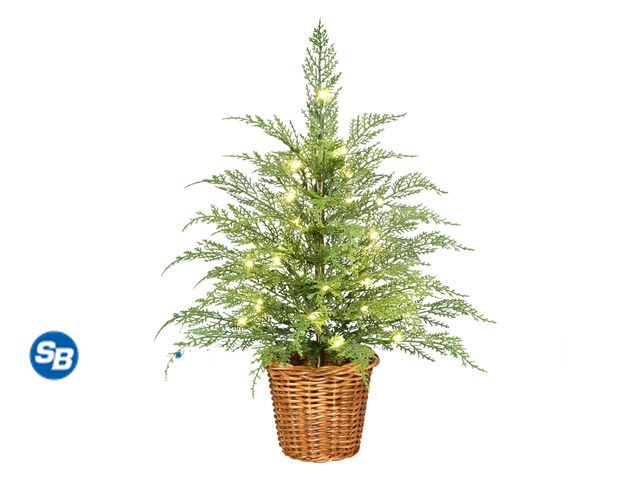 Lot 58-33754 - New 24" Pre-Lit Green Cypress Artificial Christmas Tree with 30 Warm White Twinkle LED Lights, by My...