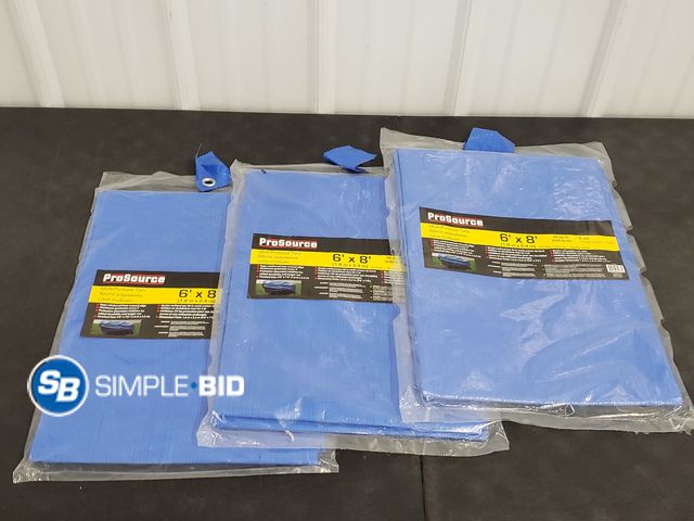 Lot 58-74749 - Lot of (3) New ProSource 6' x8' Multipurpose Tarps
