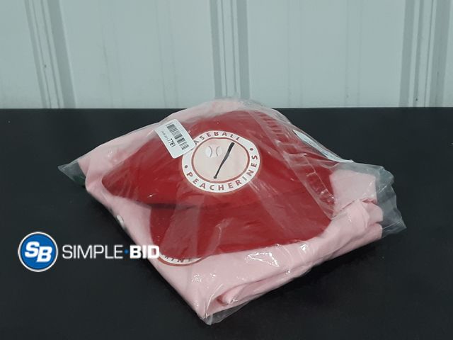 Lot 58-32397 - Girls Morph Costumes Kids Baseball Costume "Baseball Peacherines" - Size XL - Appears Unworn