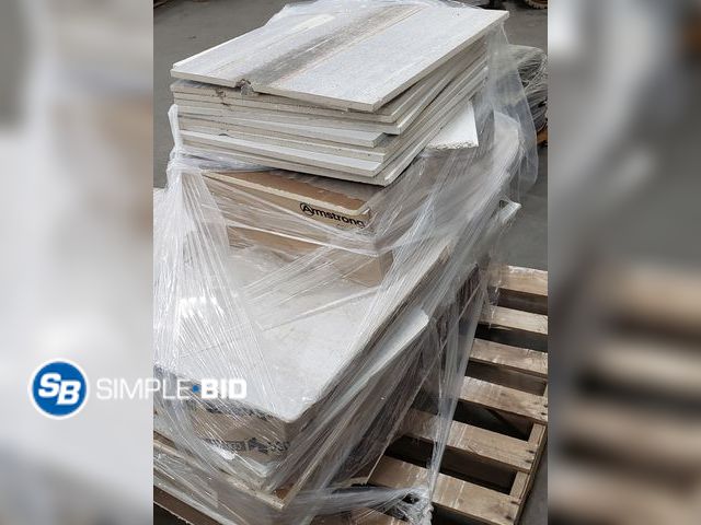 Lot 58-29719 - Skid of Ceiling Tiles 2ft x 2ft