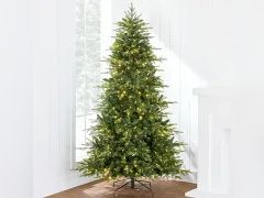 Lot 58-33380 - undefined