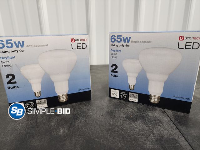 Lot 58-40266 - Lot of (2) New 65W Replacement Daylight BR30 Flood Lights (2) In Each Box