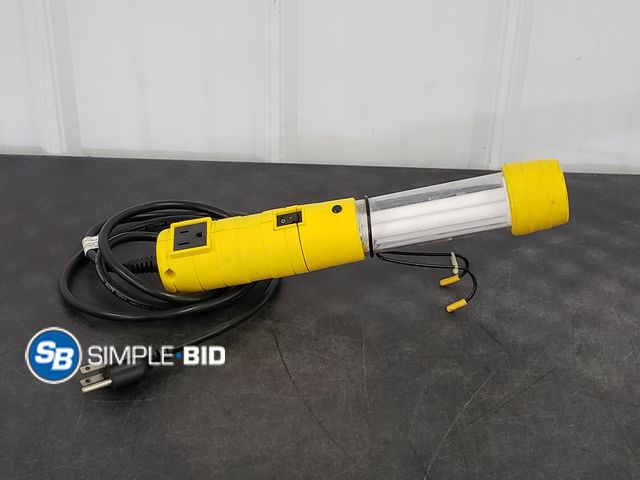 Lot 58-83515 - Hanging Wand Light - Plug in