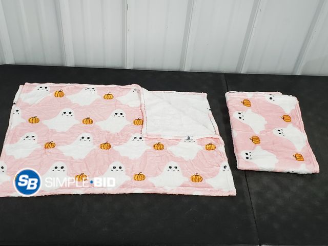 Lot 58-84022 - Lot of (2) New GHOST with pumpkin pink Blankets - super cute!!