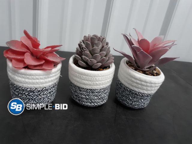 Lot 58-30265 - Lot of (3) Fake Succulant Decor Planters