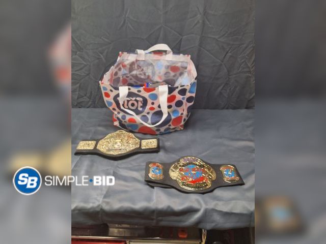 Lot 58-68055 - Kids Wrestling Match belts &amp; Nerf guns