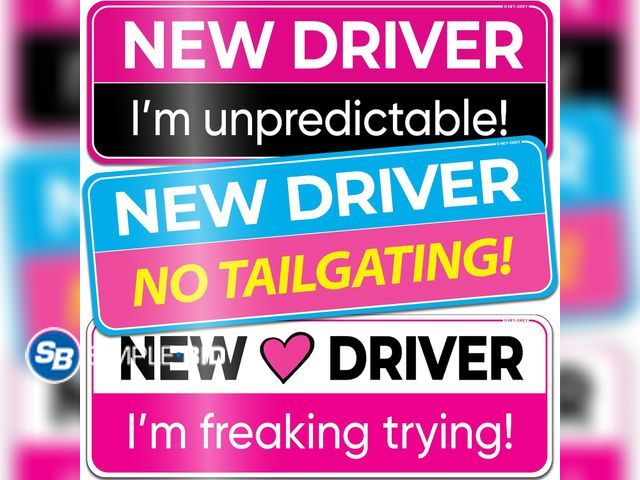 Lot 58-68377 - New 3-Pack HEY-OKEY New Driver Magnet for Car – Metal Only (Not for Plastic/Aluminum) – Funny Pink P...