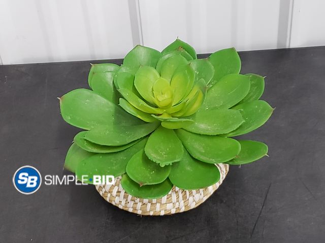Lot 58-67853 - Succulent Plant Decor - Super cool