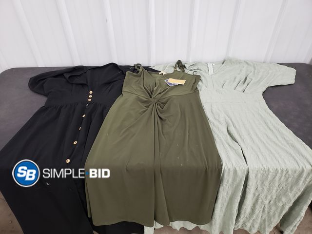 Lot 58-59379 - Lot of (3) Women's Dresses -Short Sleeved, Sizes L and XXL - Appear Unworn