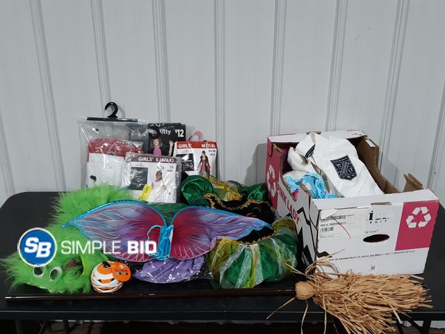 Lot 58-27705 - Lot of Halloween Costumes and Fall decor - variety of items - unused