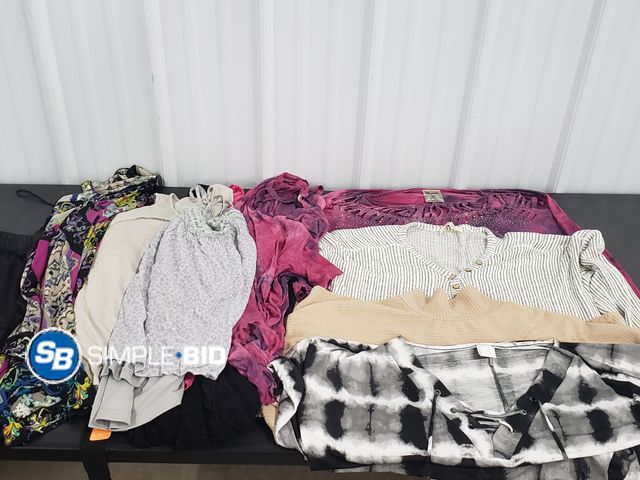 Lot 58-74591 - CLOTHING! Lot of Women's Clothing - Variety of styles -- Mostly SIZE 1XL/2XL - used but in good cond...