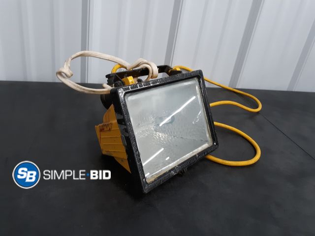 Lot 58-36644 - Shop Light