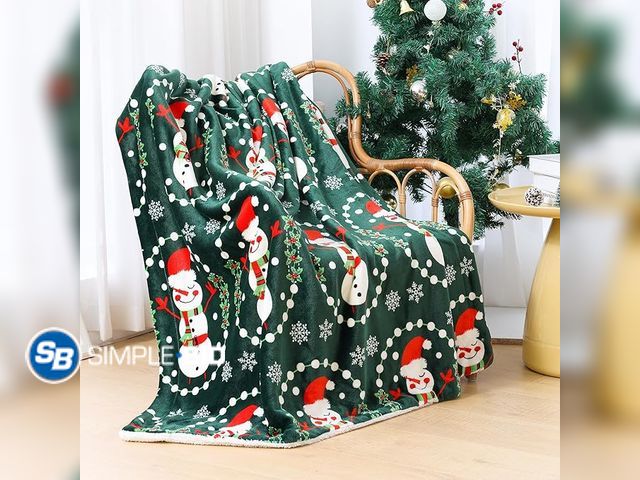 Lot 58-33266 - New New Mrzebra Christmas B 60 X 80 Throw Blanket Cozy Soft Flannel Blanket