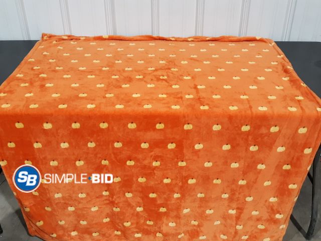 Lot 58-32576 - New Hyde and EEK PUMPKIN plush Throw