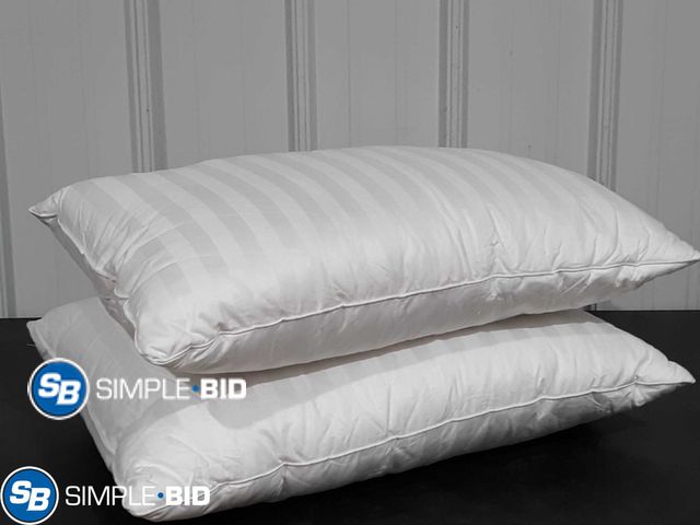 Lot 58-23513 - Lot of (2) Beautyrest Standard Pillows - Appear Unused