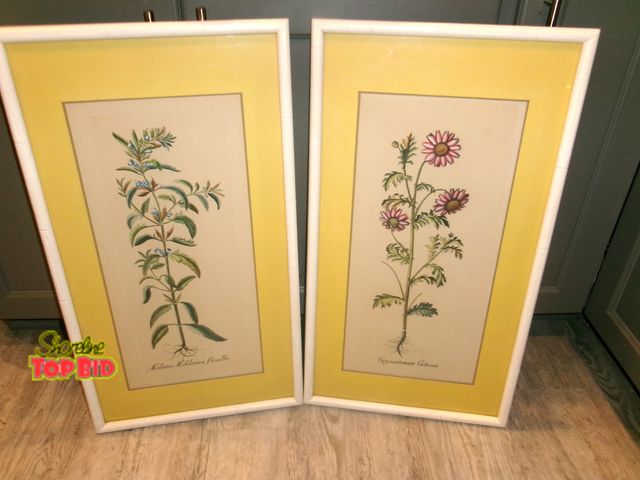 Lot 59-74490 - Vintage pair of framed, possible hand-colored botanical flower prints featuring yellow mats and whit...