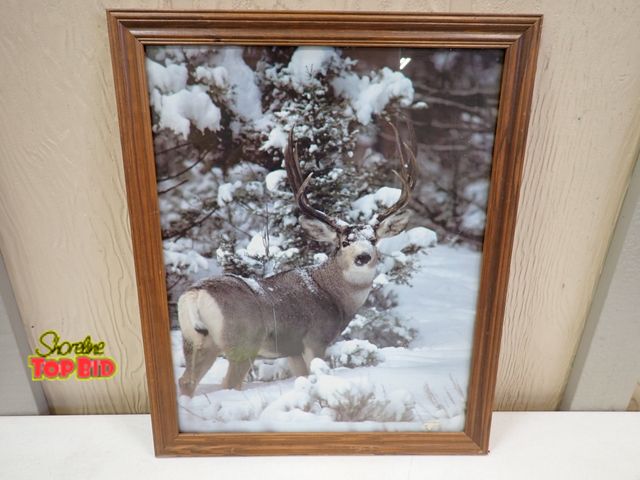Lot 59-13081 - Framed Nature Photograph of a Large Mule Deer Buck 22" x 18 1/2"