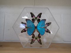 Lot 59-24216 - undefined