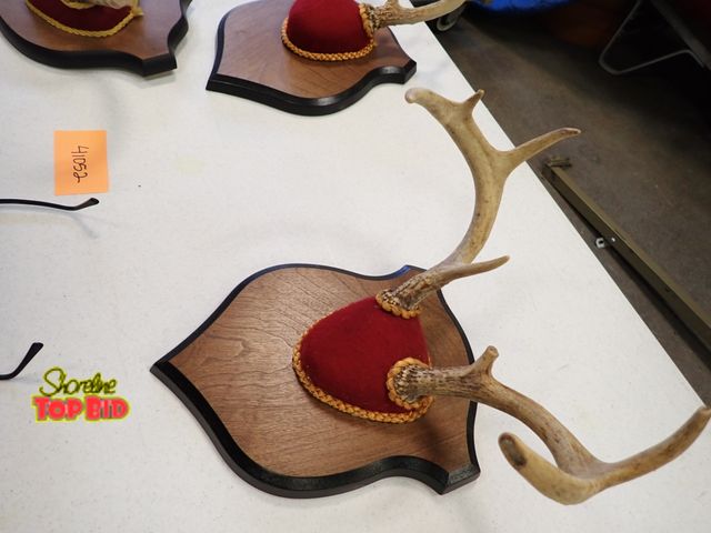 Lot 59-41051 - 7-Point Mount