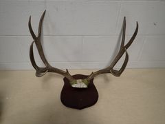 Lot 59-33186 - undefined