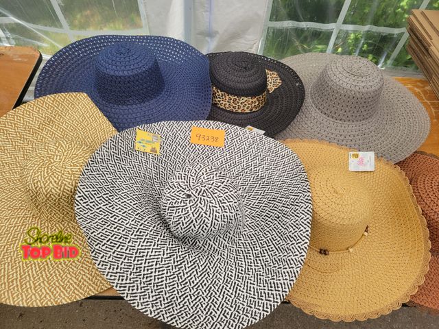 Lot 59-93238 - 6 Ladies Hats An array of ladies hats in a variety of neutral tones!