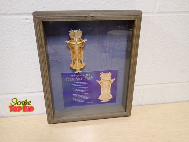Lot 59-33016 - Framed "Legend of the Crucifix Fish" Display Dried Cranial Bone of a Saltwater Catfish 11" x 9 1/4"