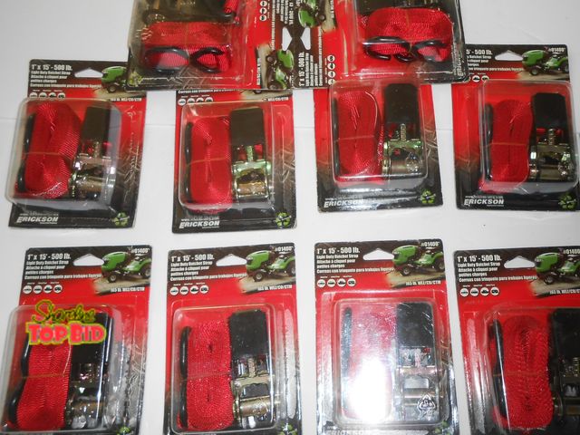 Lot 59-74313 - New Lot of 10  - 1" X 15" - 500lb Rachet Straps