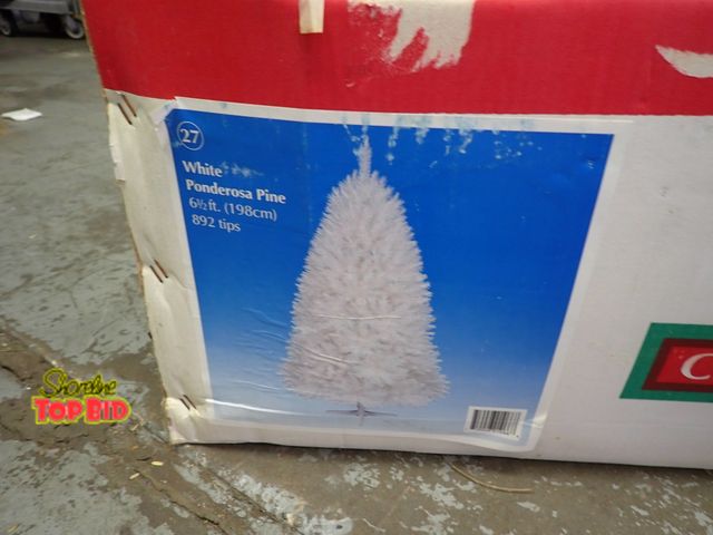 Lot 59-50007 - White Ponderosa Pine 6 1/2 ft Christmas Tree