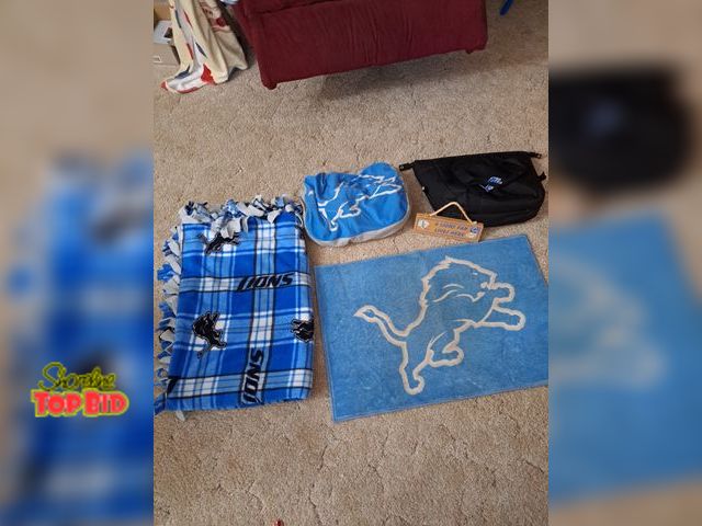 Lot 59-76015 - Detroit Lions Homemade blanket, insulated bag, pillow, rug and plaque.