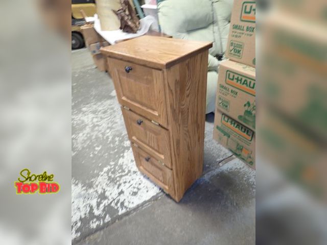Lot 59-41097 - 3-Bin Storage Cabinet