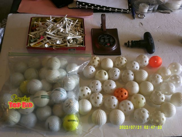 Lot 59-86007 - Good lot of golf balls, practice ball, tees &amp; Misc.