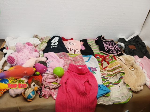 Lot 59-71050 - Dog clothes large / medium and toys
