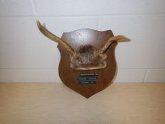 Lot 59-33184 - undefined