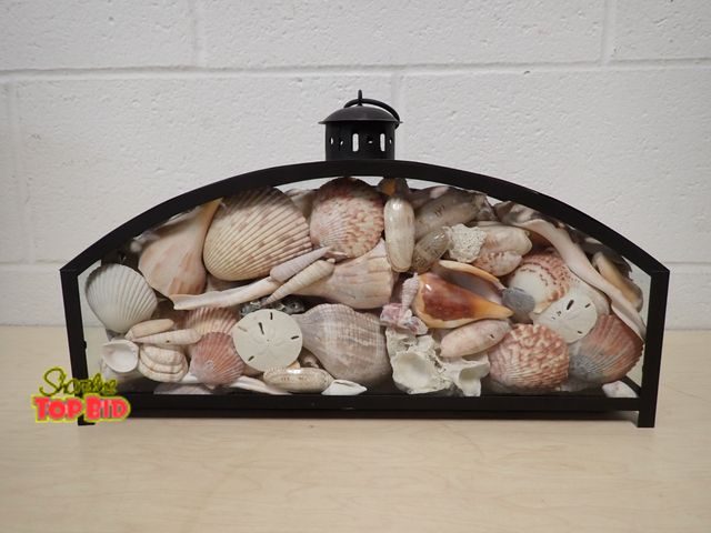 Lot 59-33150 - Coastal-Themed Decorative Seashell Shadow Box 9" x 16" x 3.5", 9" tall to very top