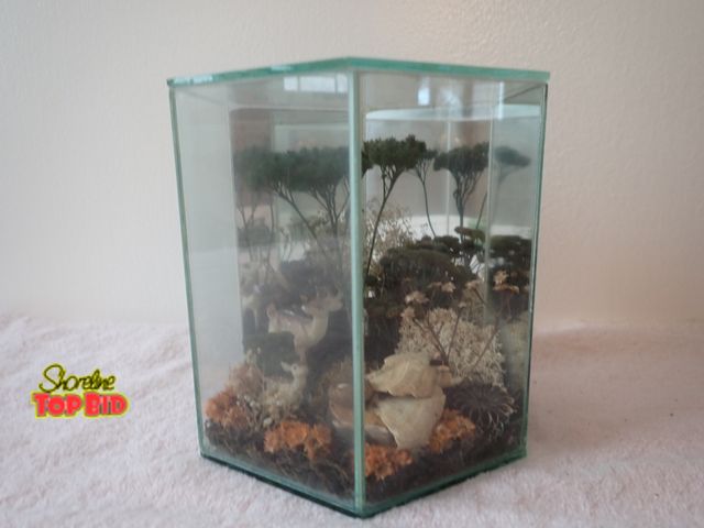 Lot 59-43548 - Small Glass terrarium Hexagon Deer Dried Flower, Vintage