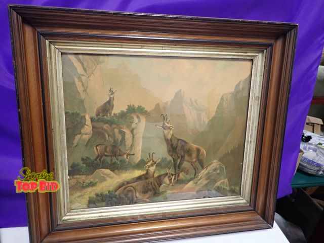 Lot 59-41503 - Beautiful vintage print with a mountainous scene with goats 20 X 23