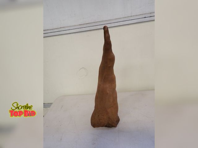 Lot 59-30020 - Unique Cypress Bald Face Root Extension 20" tall, Great for Hand Carving or Decor