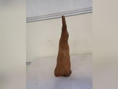 Lot 59-30020 - undefined