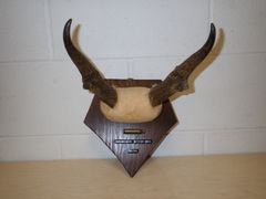 Lot 59-33182 - undefined