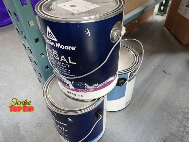 Lot 59-21147 - 3 Gallons Misc. Paint. Benefits YMCA Camp Pendalouan