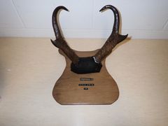 Lot 59-33187 - undefined