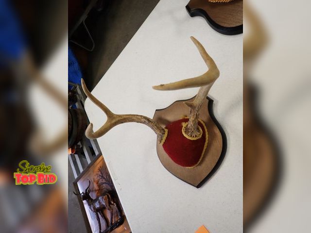 Lot 59-41053 - 6-Point Mount