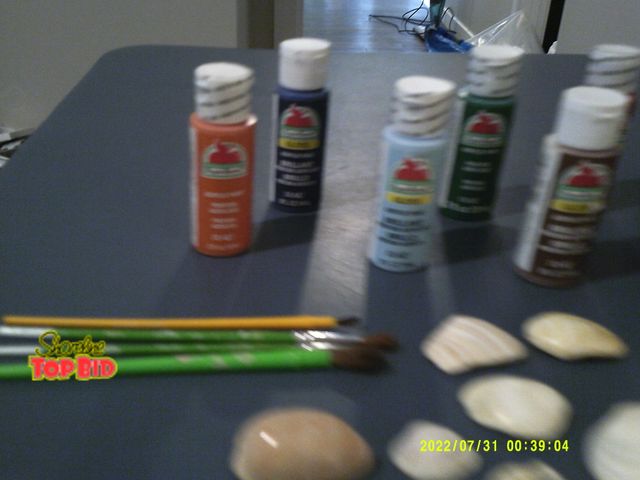 Lot 59-86040 - Great lot of colorful acrylic paint (5 unopened, 9 total) beautiful lot of shells